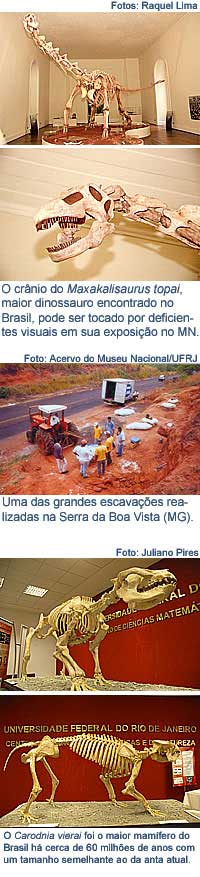 foto no foco