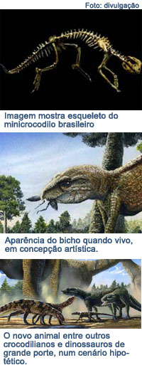 foto no foco