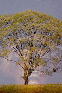 imagem ponto de vista